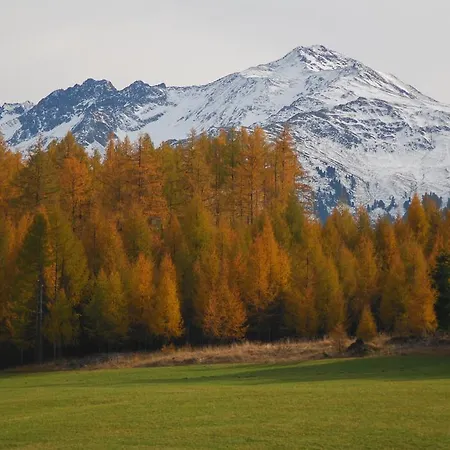 Martha * אובשטייג